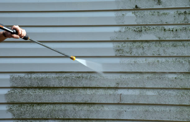 Best Gutter Cleaning  in Ocala Estates, FL